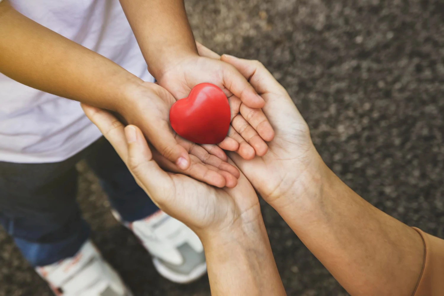 What Is Charity